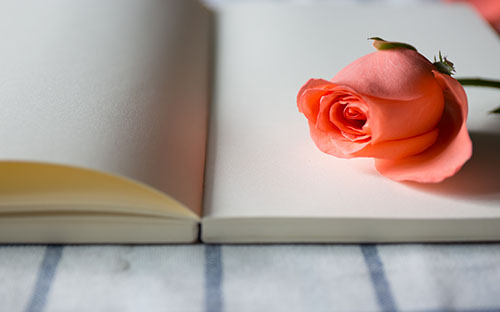 國家開放大學專科畢業率高嗎？