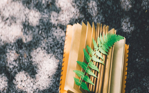 昆山開放大學的學歷有用嗎? 昆山開放大學的學歷有用嗎?