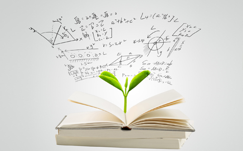 化州開放大學地址在哪里