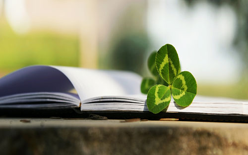 武陟開放大學地址在哪里？