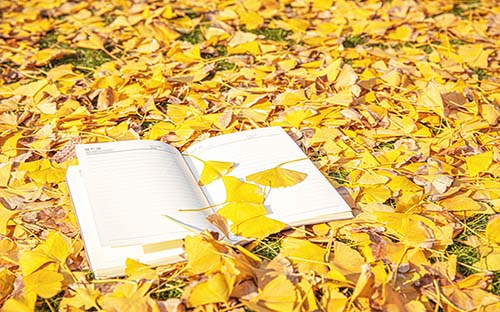 江西鷹潭開放大學怎么樣？