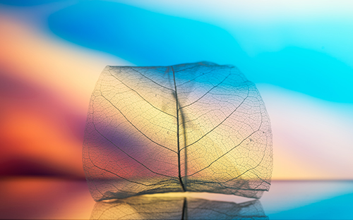 象州開放大學的學歷國家承認嗎？