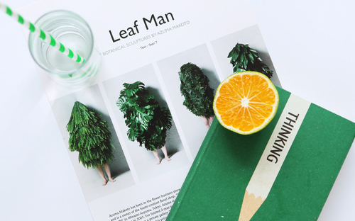 秀英開放大學學費多少錢？