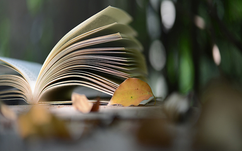 樂都開放大學的地址在哪里？