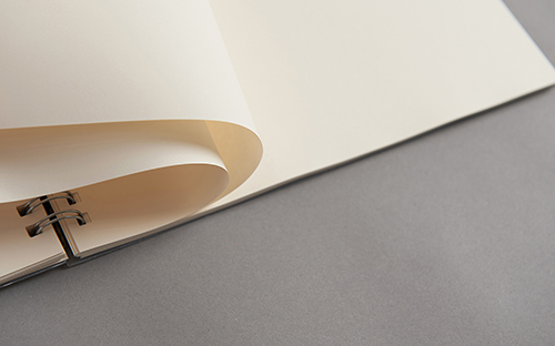 自考成績什么時間能查詢？