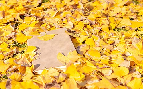 自考命題標準是怎樣的？