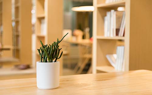 吉林成人高考報名時間在幾月？