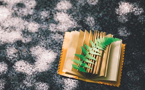 重慶自考如何提升自己的學歷? 重慶自考如何提升自己的學歷?