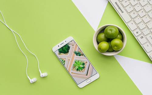 成人高考的成績查詢入口在哪里? 成人高考的成績查詢入口在哪里?