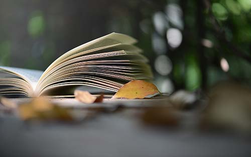 2023年4月上海市虹口區自考報名入口已開通 2023年4月上海市虹口區自考報名入口已開通