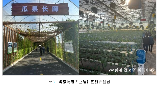 鄉村振興學院受邀參加首屆鄉村振興西昌論壇 鄉村振興學院受邀參加首屆鄉村振興西昌論壇