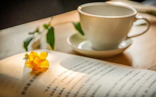 自考怎么復習? 自考怎么復習?