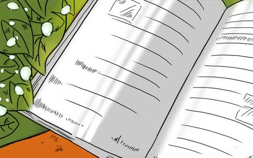 湖南成人高考錄取結果查詢？
