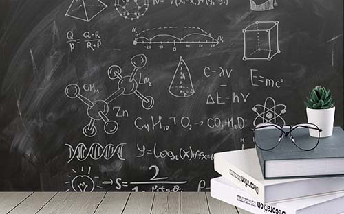 成人高考本科學信網可以查到嗎？