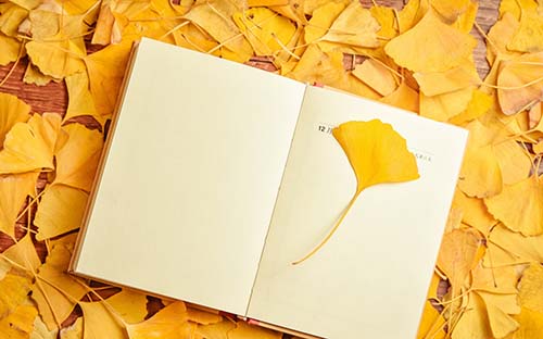 成人高考有哪些相關助學單位？