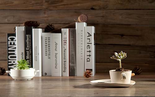 什么是自考專套本? 什么是自考專套本?