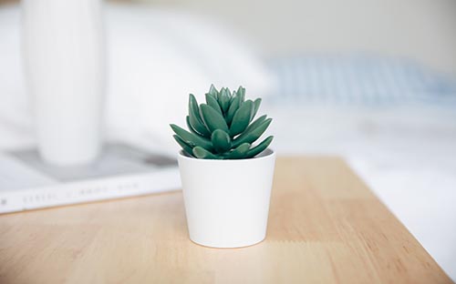 自考成績查詢注意事項有哪些? 自考成績查詢注意事項有哪些?