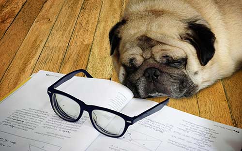 如何制定自考學習計劃? 如何制定自考學習計劃?