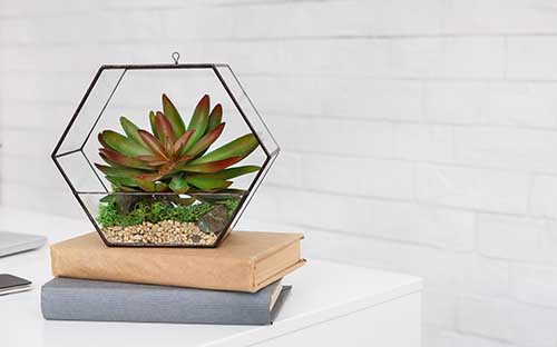 人力資源專業自考怎么樣？