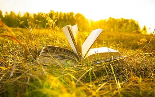 自考獨立本科段是什么意思？