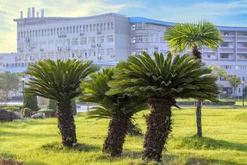 黃岡師范學院繼續教育學院校園風光