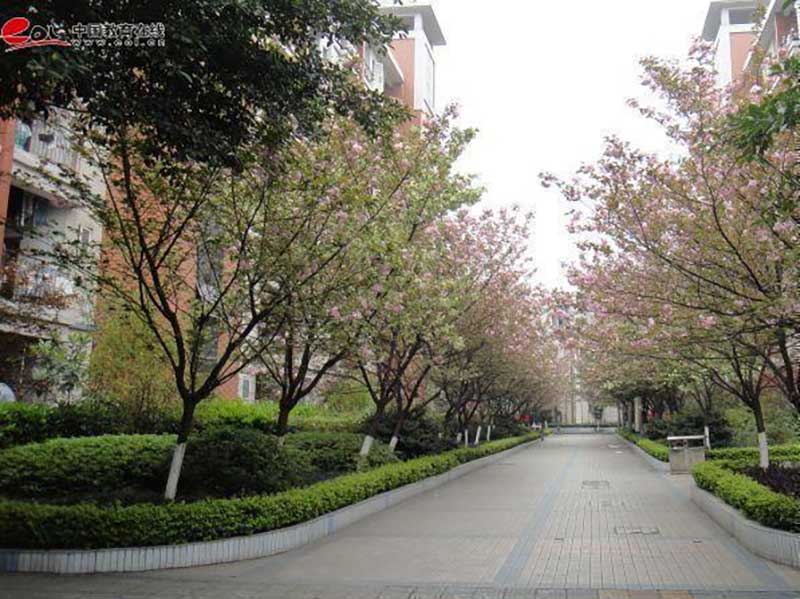 重慶開放大學校園風光
