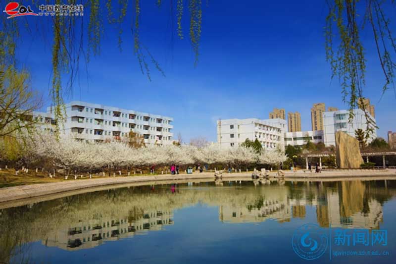 山東理工大學繼續教育學院校園風光