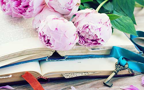 江西成人高考成績查詢官網是哪個？