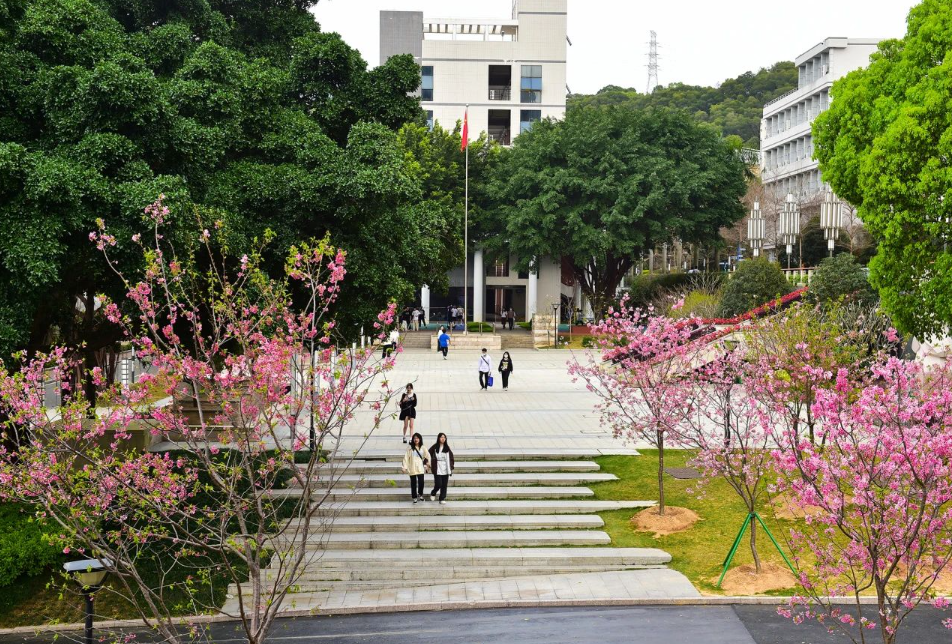 福建開放大學2024年高等學歷繼續教育招生簡章