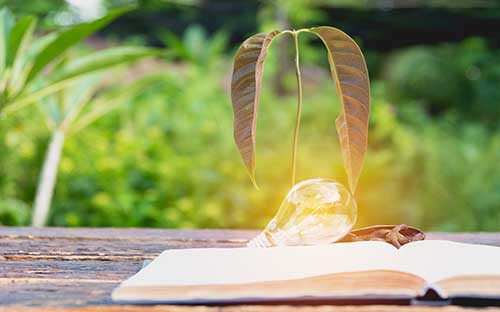 成人高考報名怎么填志愿?什么時候出結果? 成人高考報名怎么填志愿?什么時候出結果?