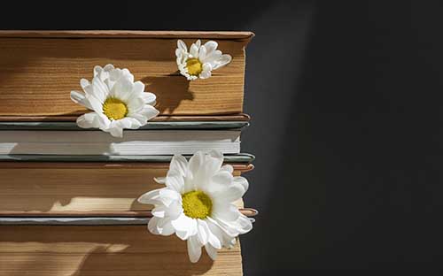 成人自考學位證書怎么申請？和畢業證的區別在哪？