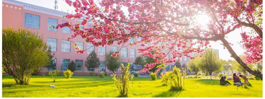 昌吉學院2025年高等學歷繼續教育招生簡章