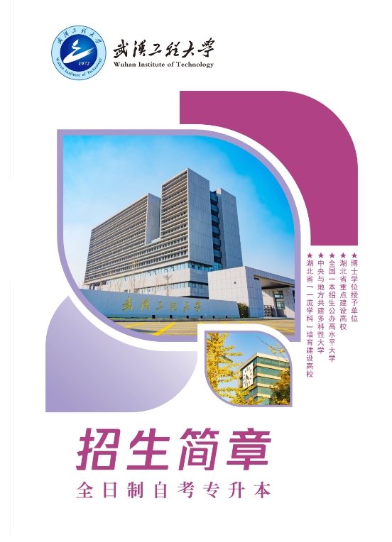 武漢工程大學2025年全日制自考本科（專升本）招生簡章