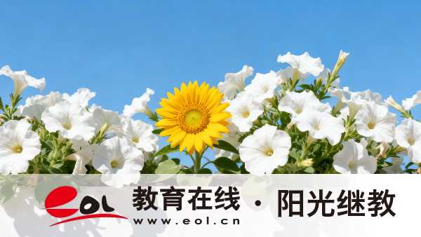 參加四川成人高考要看哪些書？復習建議有哪些？