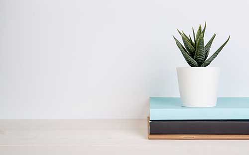 成人高考什么時候報名好？一般何時開始？