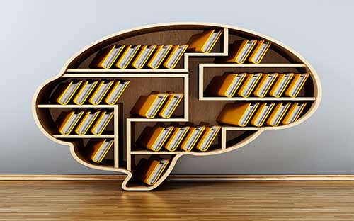 新鄉成人高考報名點在哪里？有哪些流程？