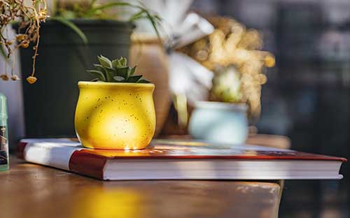 富平電大報名流程有哪些？學歷有必要報考嗎？