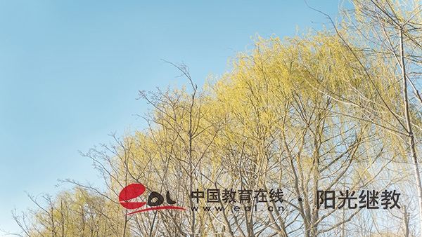 淳安國開什么時候報名？課程怎么安排？