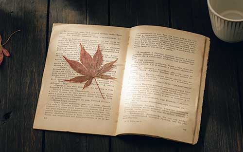 國家開放大學的本科專業有哪些？幾年畢業？