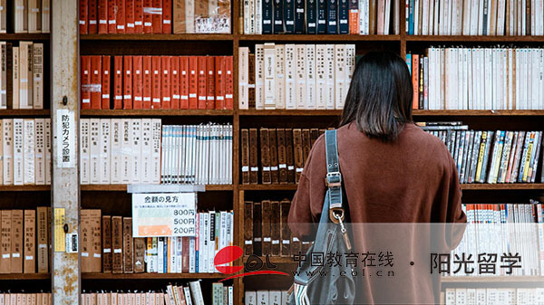 上海大學中外合作國際本科1+3項目介紹