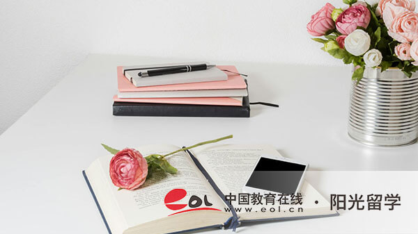 上海外國語大學賢達經濟人文學院3+1中外合作國際本科什么專業最好就業