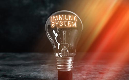 自考跨省報名需要什么手續？需要注意什么？