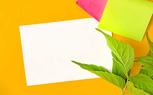 自考的英語專業報名需要多少錢?考試科目有哪些? 自考的英語專業報名需要多少錢?考試科目有哪些?