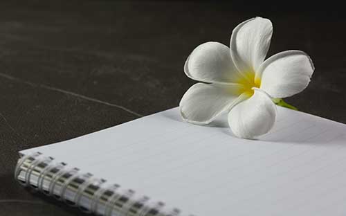 報名自考專科會計考哪些科目？文憑有用嗎？