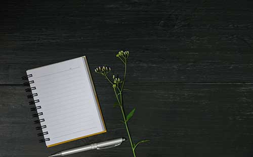 自考成績查詢入口在哪?要注意什么? 自考成績查詢入口在哪?要注意什么?