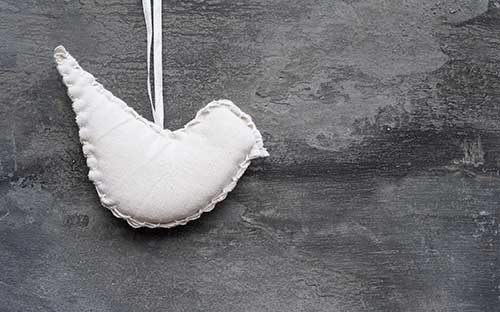 廣西學歷提升如何選擇專業？怎么填志愿？